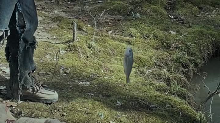 Tethered 2022 HDRip XviD AC3-EVO