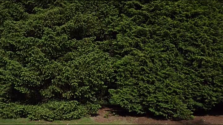 Una 2017 BRRip XviD AC3-EVO