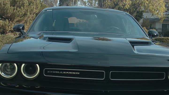 Two Wolves 2020 HDRip XviD AC3-EVO