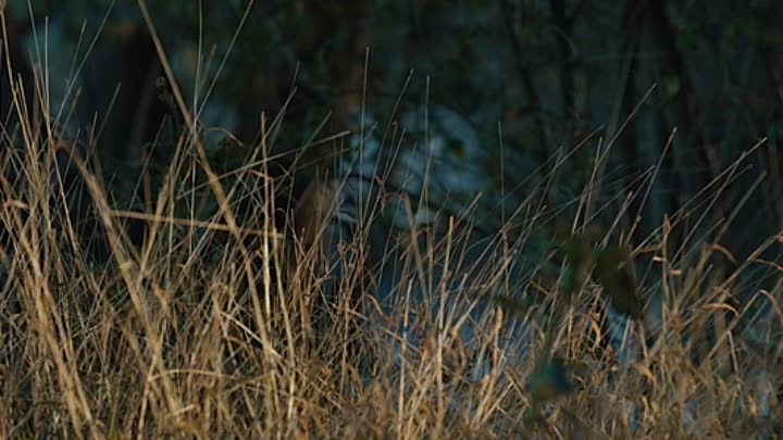 ⁣Union Bridge 2020 HDRip XviD AC3-EVO