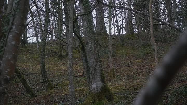 Waiting For Anya 2020 BRRip XviD AC3-EVO