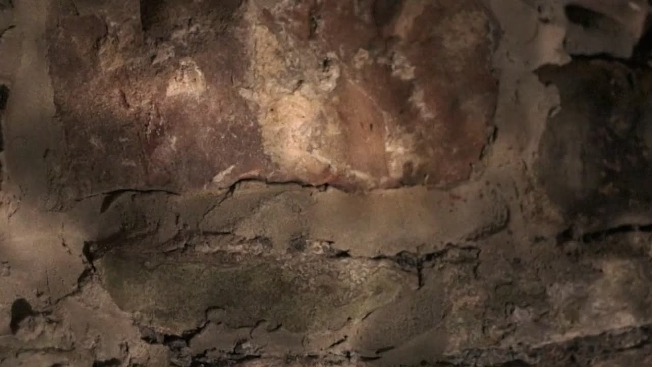 Wild Bones 2022 1080p WEBRip x264 AAC5 1-