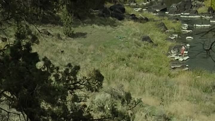 Wild 2014 BRRip XviD AC3-EVO