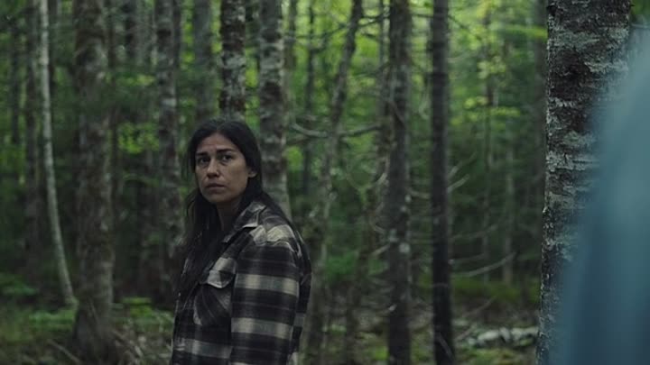 Wildhood 2022 HDRip XviD AC3-EVO