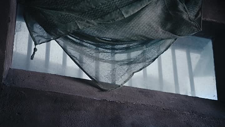 Wildcat 2021 HDRip XviD AC3-EVO