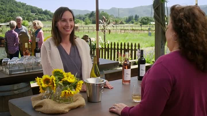 ⁣Wine Country 2019 BRRip XviD AC3-EVO