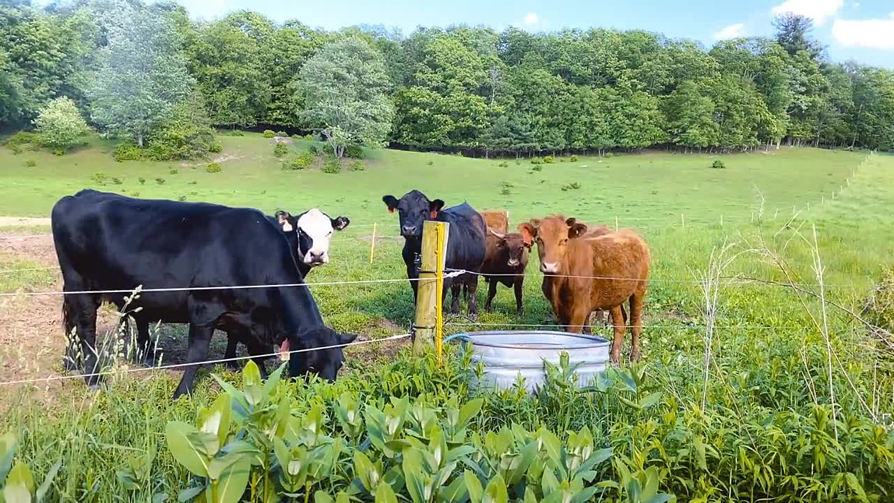 WithIn 2022 720p WEBRip 900MB x264-GalaxyRG