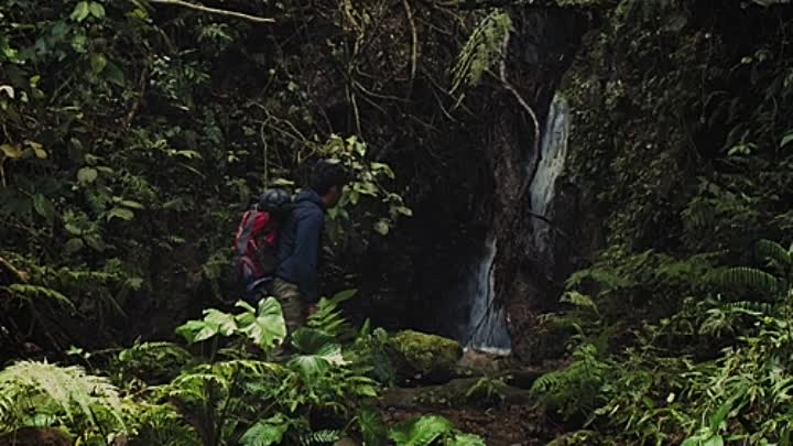 Woman in the Woods 2020 HDRip XviD AC3-EVO