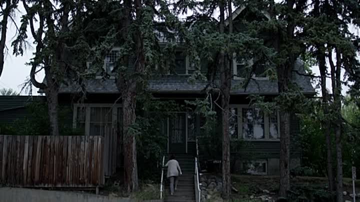 Z 2020 HDRip XviD AC3-EVO