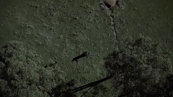 Yesterdays Girl 2019 HDRip XviD AC3-EVO