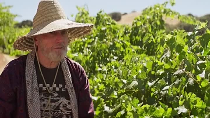 You Cant Say No 2019 HDRip XviD AC3-EVO