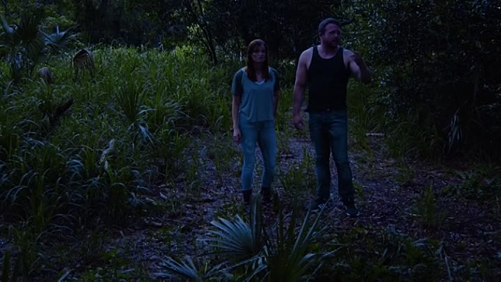 The Connection 2021 HDRip XviD AC3-EVO