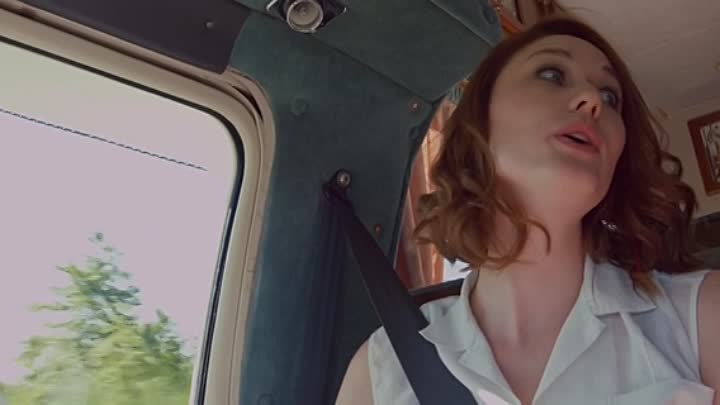 The Control 2020 HDRip XviD AC3-EVO