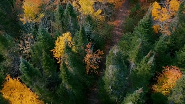 ⁣The Desperate Hour 2022 REPACK BRRip XviD AC3-EVO