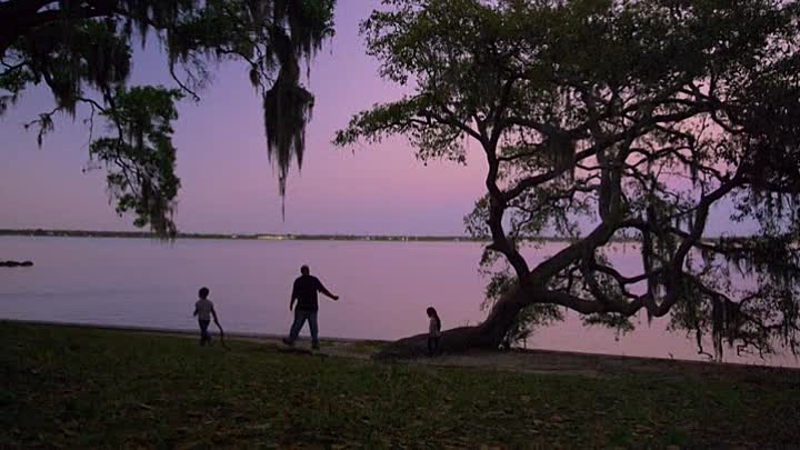 The Favorite 2019 HDRip XviD AC3-EVO