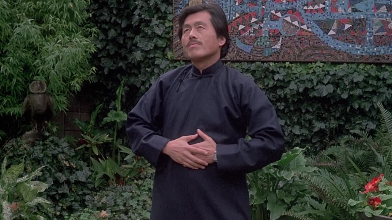 The Great Wall Is A Great Wall 1986 MULTI HC ENG SUBS 1080p BluRay x264 AAC-