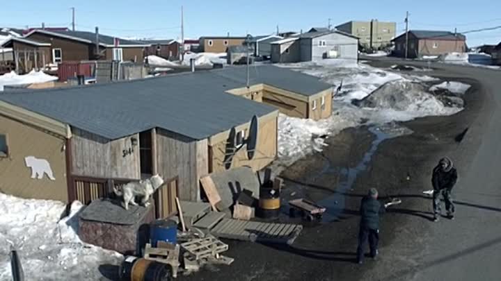 The Grizzlies 2019 HDRip XviD AC3-EVO