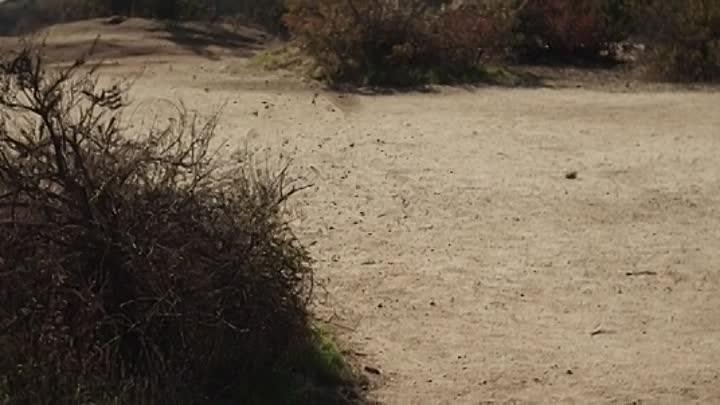 ⁣The Haunting of Sharon Tate 2019 BRRip XviD AC3-EVO