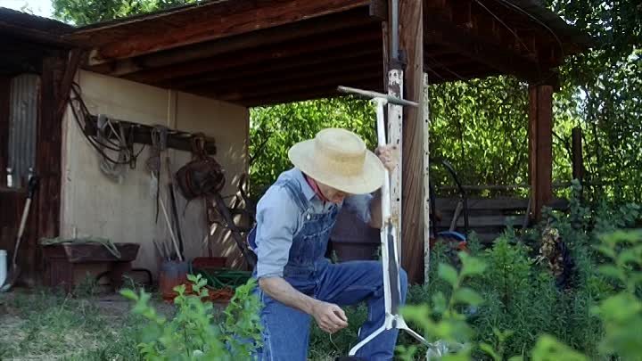 ⁣The Healing Garden 2021 HDRip XviD AC3-EVO