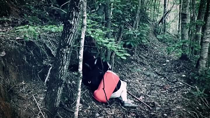 The Hike 2021 HDRip XviD AC3-EVO