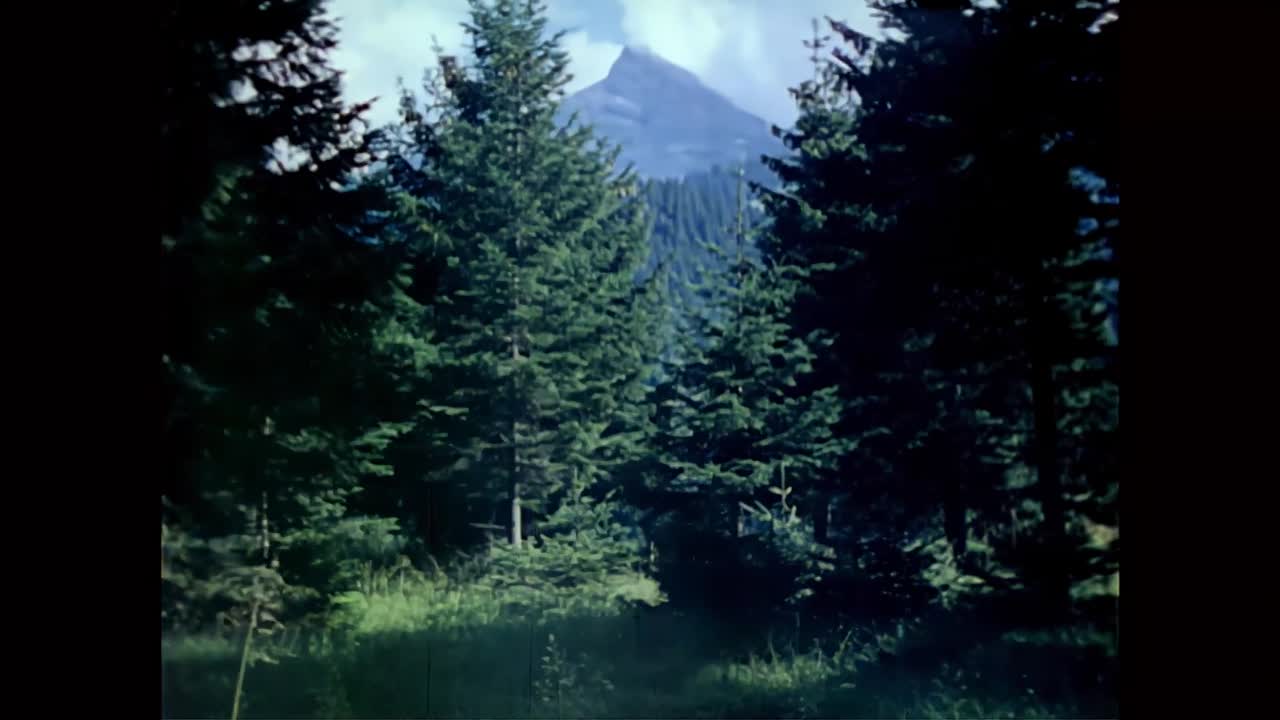 ⁣The Hitler Home Movies 2023 1080p WEBRip x264-YIFY