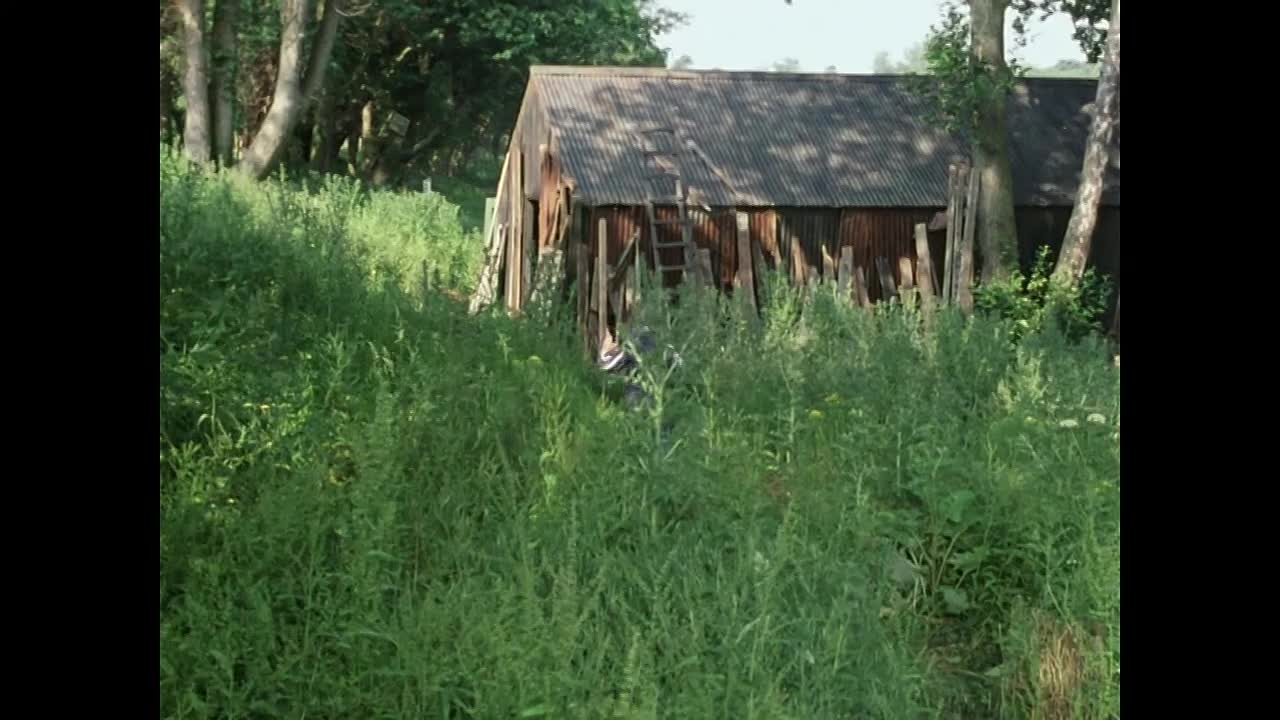 Five on a Hike Together S01E09 (1970)