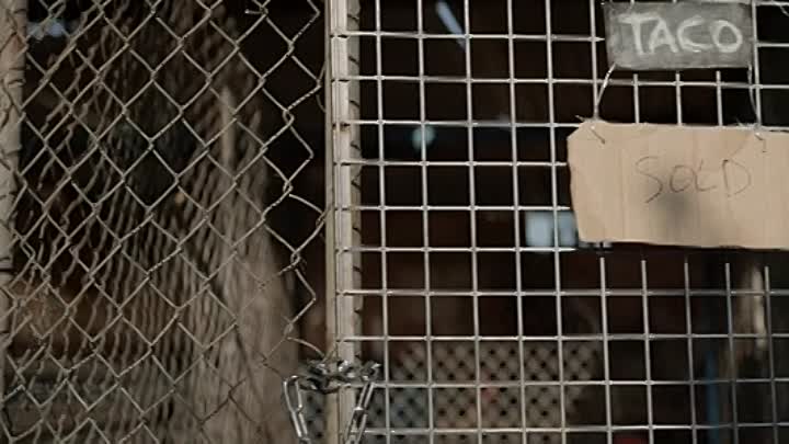 ⁣The Infernal Machine 2022 HDRip XviD AC3-EVO