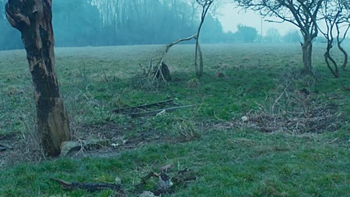 The Laureate 2022 HDRip XviD AC3-EVO