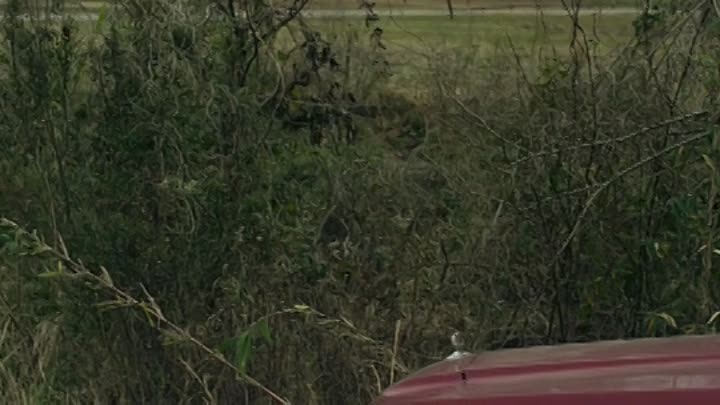 The Long Shadow 2020 HDRip XviD AC3-EVO