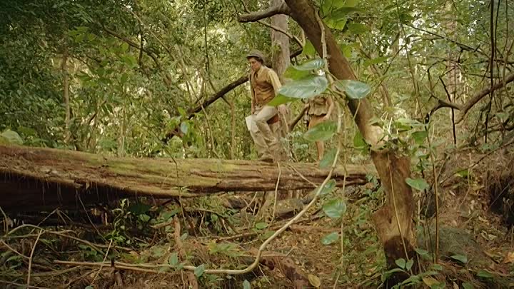 The Lost Treasure 2022 HDRip XviD AC3-EVO