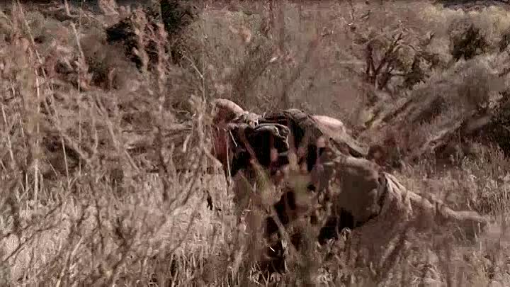 The Mercenary 2019 HDRip XviD AC3-EVO