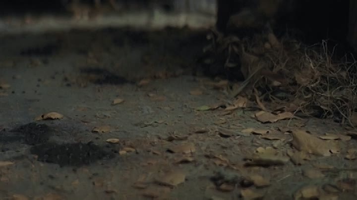 ⁣The Old Ways 2021 HDRip XviD AC3-EVO