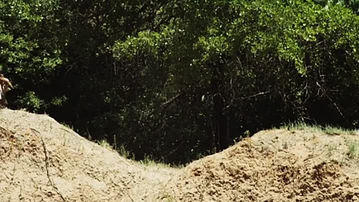 The Penitent Thief 2020 HDRip XviD AC3-EVO