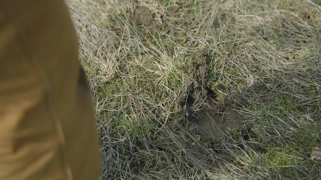 Hunting Games 2023 1080p WEBRip x264 AAC5 1-