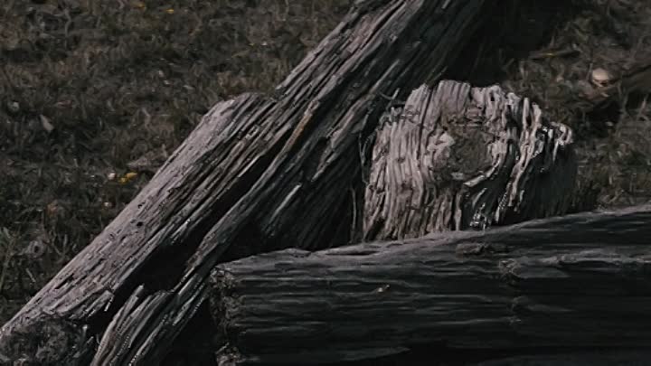 The Pleasant Valley War 2021 HDRip XviD AC3-EVO