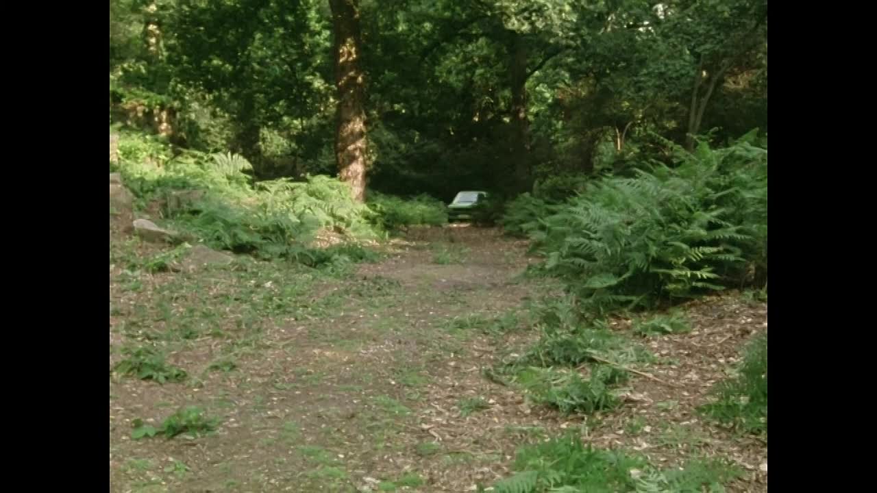 Five on a Secret Trail S01E11 (1970)