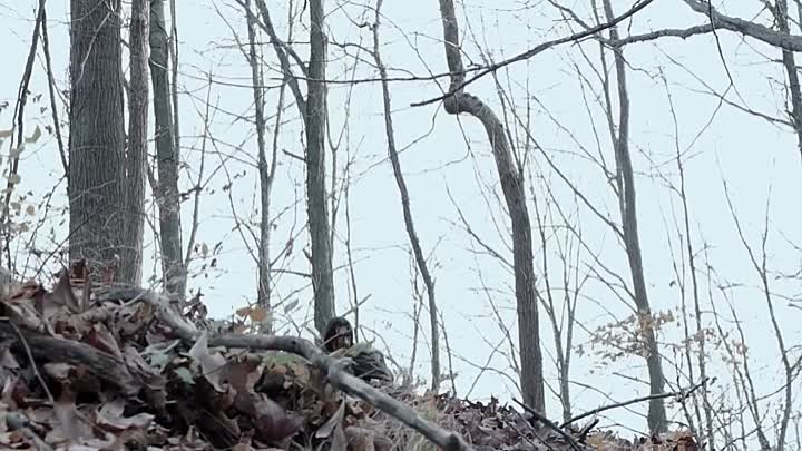 The Rangers Bloodstone 2021 HDRip XviD AC3-EVO