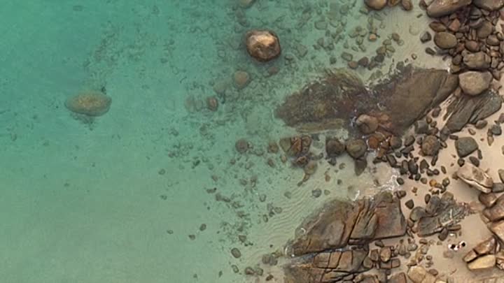 The Reef Stalked 2022 BRRip XviD AC3-EVO