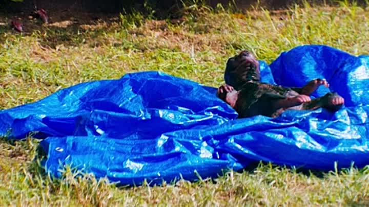 ⁣The Seed 2022 HDRip XviD AC3-EVO