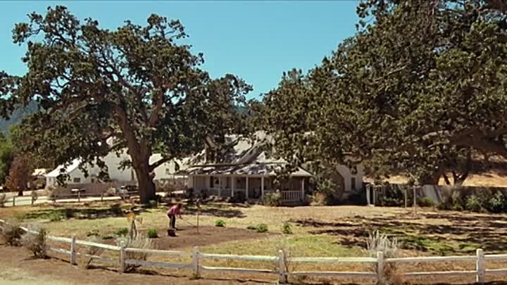 The Starling 2021 HDRip XviD AC3-EVO