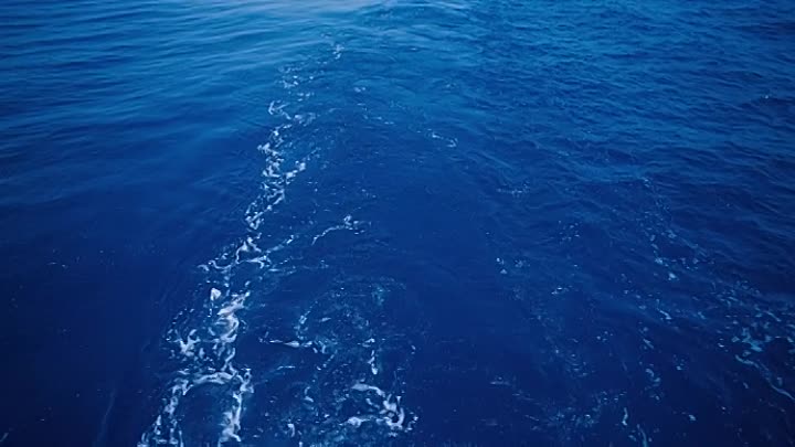 The Story of My Wife 2021 HDRip XviD AC3-EVO