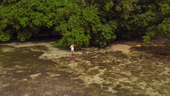 ⁣The Swing of Things 2020 BRRip XviD AC3-EVO