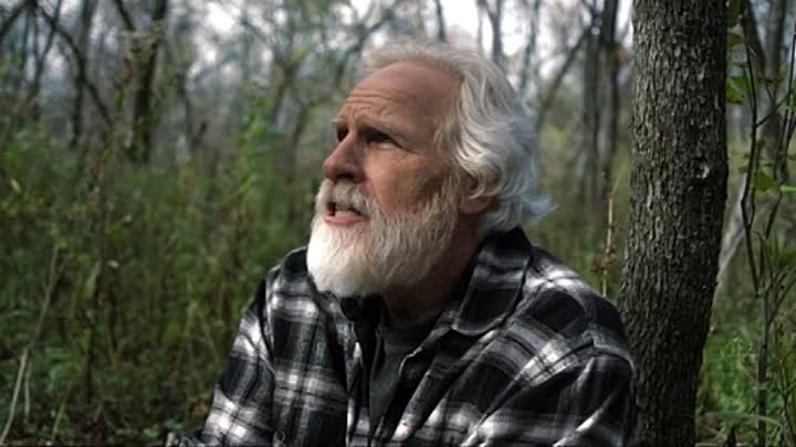 The Tent 2020 HDRip XviD AC3-EVO