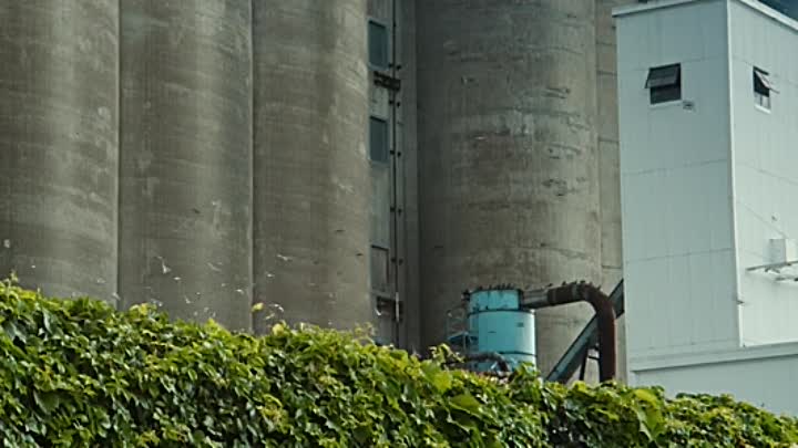 The True Adventures of Wolfboy 2020 HDRip XviD AC3-EVO