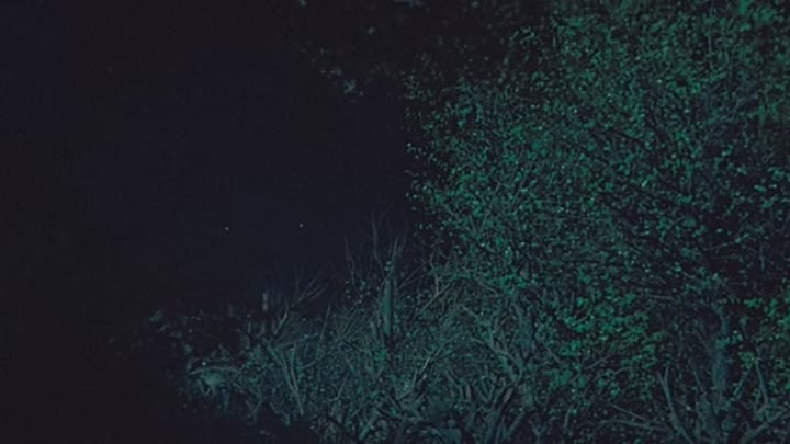 The Vast Of Night 2020 HDRip XviD AC3-EVO