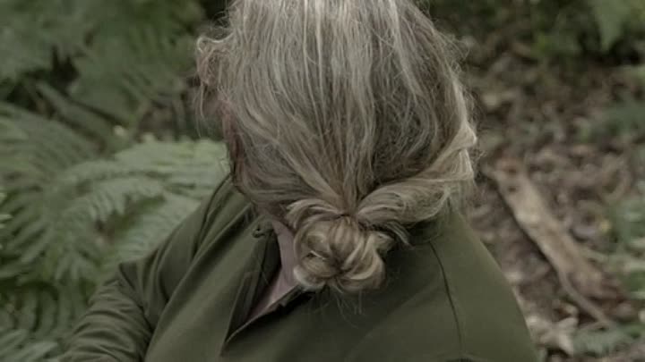 ⁣The Viking War 2019 BRRip XviD AC3-EVO