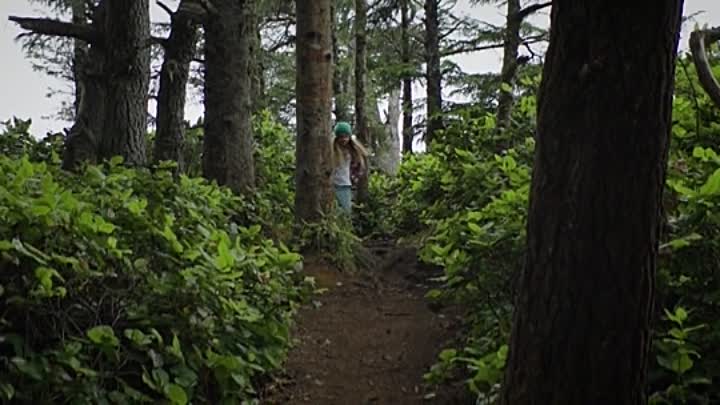 The Watchmans Canoe 2017 HDRip XviD AC3-EVO