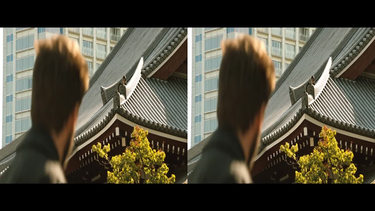 The Wolverine 2013 1080p 3D HSBS BluRay x264 YIFY