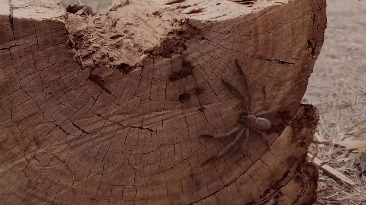 Forgiving the Unforgivable _ ENDEVR Documentary