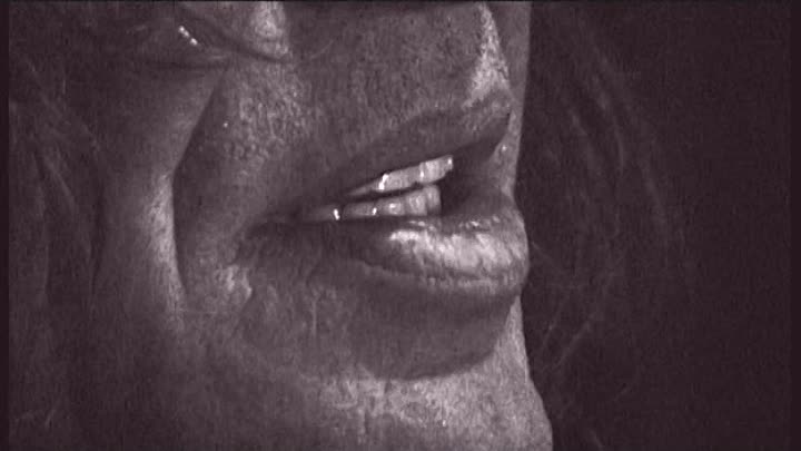 ⁣Mr Nice Howard Marks 2003 DVDRip XviD TFly